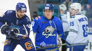 "Разбираемся" - министр об отказе хоккеистов от гражданства Казахстана