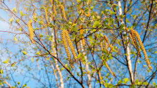 Фото:elements.envato.com