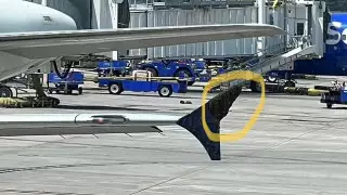 Огромный рой пчел на крыле самолета сорвал вылет