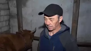 © 24.kz