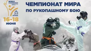 Казахстан примет VII чемпионат мира по рукопашному бою