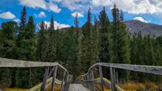 Пожар начался в Катон-Карагайском нацпарке в ВКО