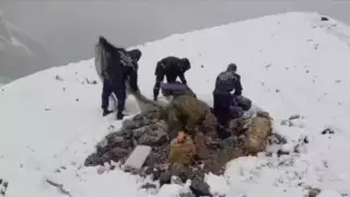 Появилось видео поисков туриста, сорвавшегося с горы в Туркестанской области