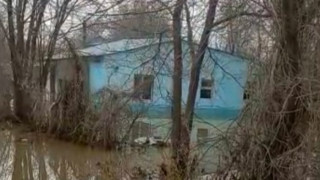 Фото и видео предоставлено Тураром Дошаевым