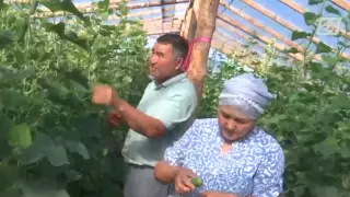 © 24.kz