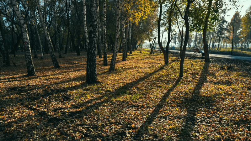 Фото ©️ Tengrinews.kz / Турар Казангапов