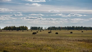 Фото ©️ Tengrinews.kz / Турар Казангапов