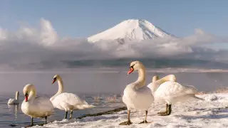 Названы самые популярные направления для зимнего отдыха