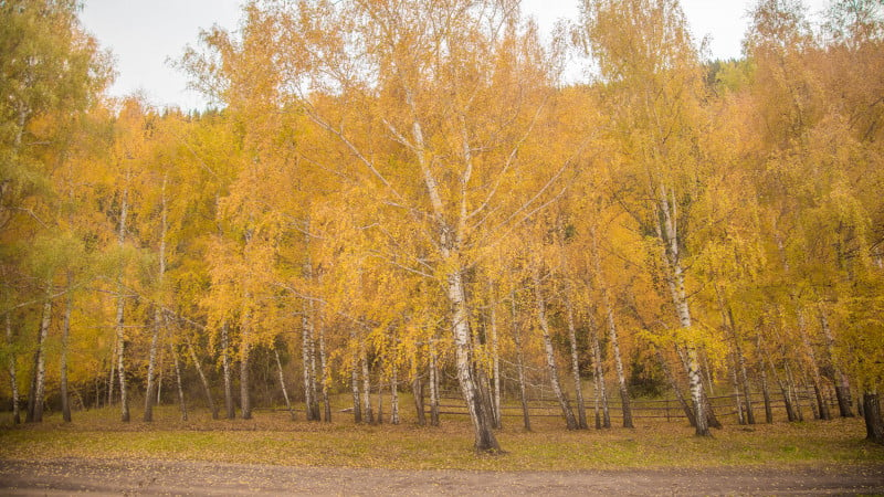 Фото ©️ Tengrinews.kz / Алихан Сариев