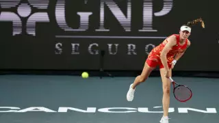 Елена Рыбакина раскритиковала "финал" WTA и получила поддержку