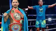 WBO может свести Алимханулы с другим казахстанцем: подробности