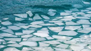 "Необычайно теплый ноябрь": алматинский фотограф поделился кадрами замерзающего БАО