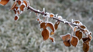 Фото: depositphotos.com