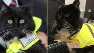 Скончался самый известный сотрудник вокзала в Британии