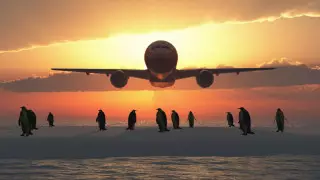 Какие места в самолете лучше не выбирать зимой, рассказала эксперт