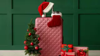 Какие "новогодние" предметы перевозят в чемоданах чаще всего