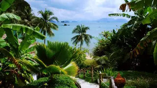 Куда казахстанцам выгодно лететь после новогодних праздников