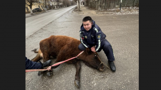 Фото пресс-службы ДП Актобе