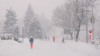 Фото ©️ Tengrinews.kz / Турар Казангапов