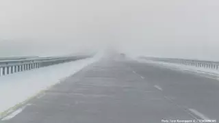 Фото ©️ Tengrinews.kz / Турар Казангапов