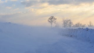 Фото:depositphotos.com