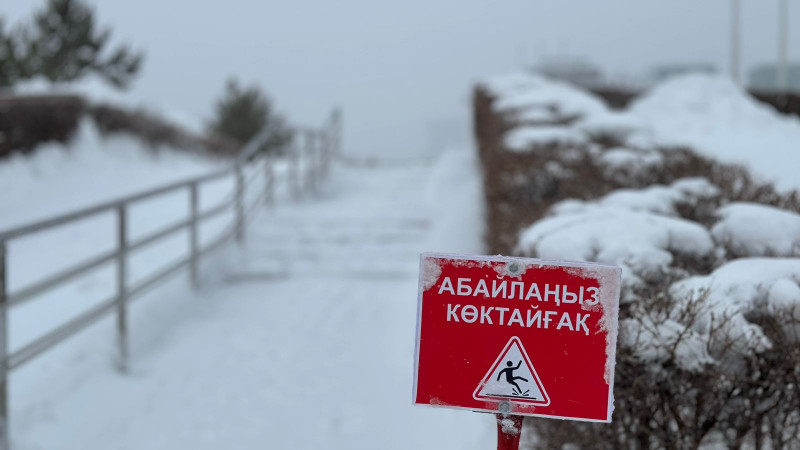 Фото ©️ Tengrinews.kz / Надежда Лыкова