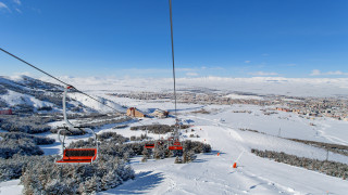 Көрнекі сурет: Shutterstock