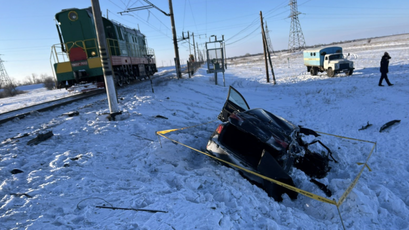 Фото: ДП Акмолинской области