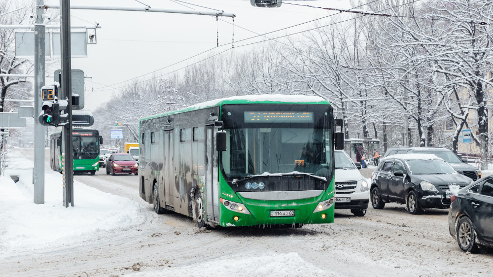 Фото ©️ Tengrinews.kz / Алихан Сариев