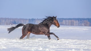 Фото:depositphotos.com