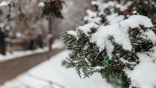 Фото ©️ Tengrinews.kz / Алихан Сариев