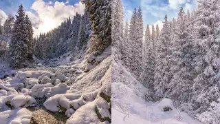 "Словно открытки из СССР". Фотограф поделился снимками после снегопада в Алматы