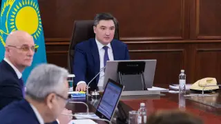 "Минздрав затягивает, акиматы не торопятся". О провале сроков по нацпроекту заявил премьер