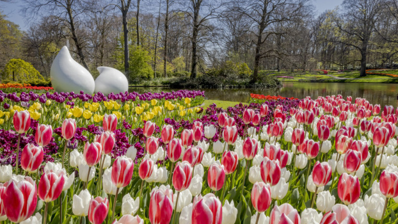 Фото: instagram.com/visitkeukenhof