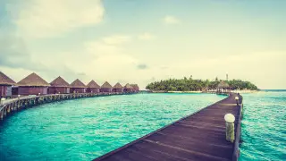 "Какой кошмар": главный минус жизни на Бали показал путешественник