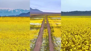 "Не делитесь геолокацией": фотограф показал красоту Согетинской долины