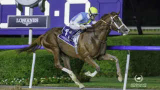 "Кабирхана зажали, все это видели": владелец скакуна из Казахстана о скандальном эпизоде