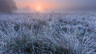 Фото:depositphotos.com