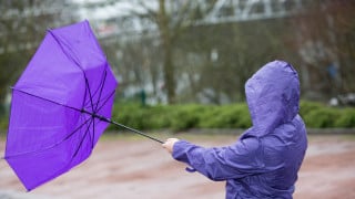 Фото:depositphotos.com