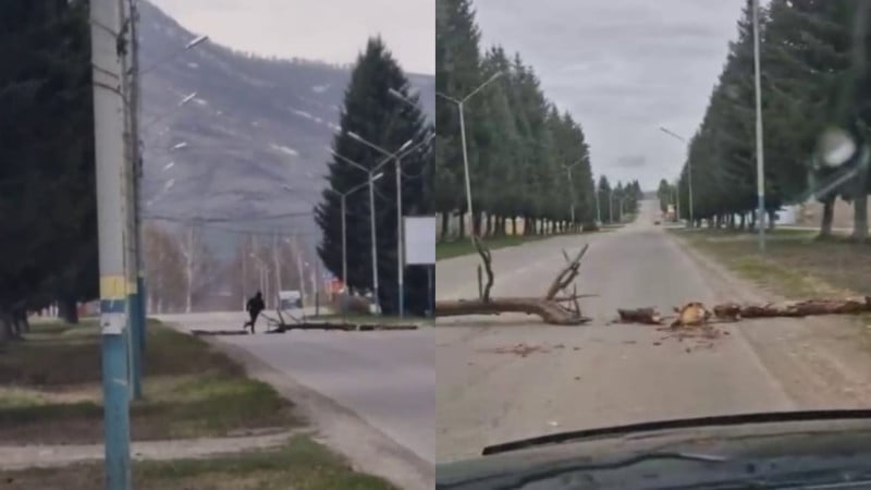 Фото: пресс-служба ДП ВКО