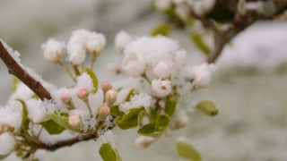 Фото:depositphotos.com