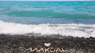 Нашествие насекомых на Алаколе: как жуки могут повлиять на курортный сезон