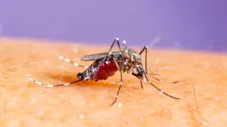 Минздрав предупредил выезжающих за рубеж казахстанцев