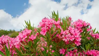 Чего "никогда нельзя делать" в Италии, рассказала путешественница