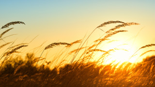 Фото:depositphotos.com