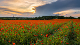 Фото:depositphotos.com