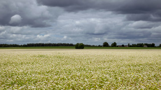 Фото:depositphotos.com