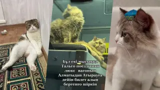 Кадры из видео