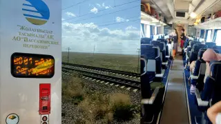 "Его ругают": как выглядит сидячий "Тальго", показала казахстанка