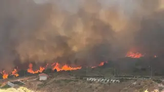 "Мы в апокалипсисе": туристов эвакуируют в Греции, есть пострадавшие